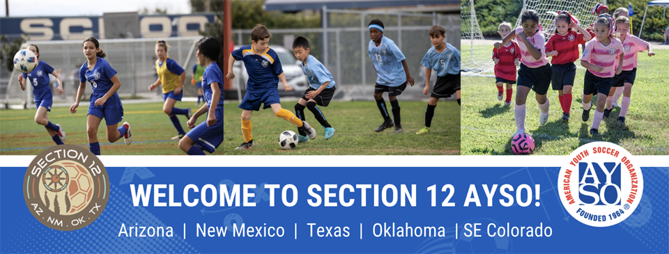 Welcome to Section 12!